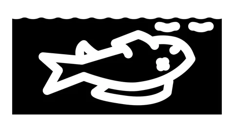 Dead fish floating belly up animation Stock Footage 326727529