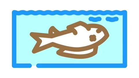 Dead fish floating belly up animation Stock Footage 327255624