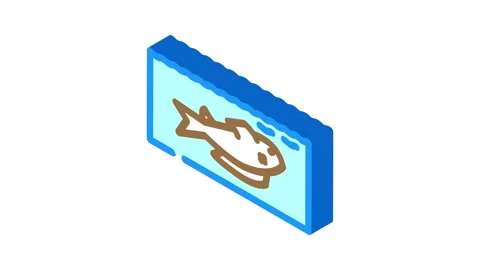 Dead fish floating belly up Stock Footage 327273453