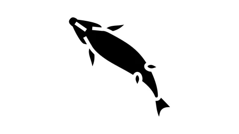 Dead fish floating belly up glyph icon animation Stock Footage 326140428