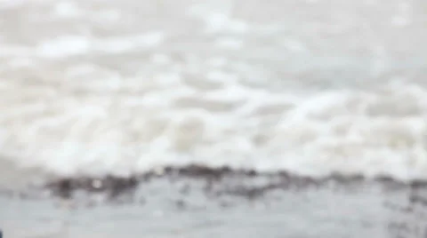 Dead fish flounder sea pollution concept Stock Footage 37217893