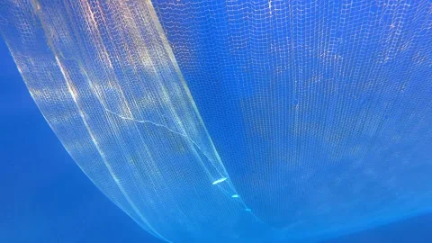 Dead fish hang in abandoned net underwater beside boat, showing grim - Nautical Stock Footage 339976607