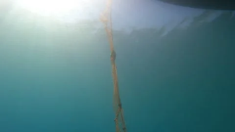 Dead fish hang in abandoned net underwater beside boat - Marine Conservation Stock Footage 339979566