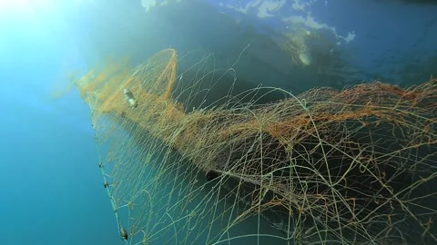 Dead fish hang in abandoned net underwater beside boat - Marine Entanglement Stock Footage 339979716