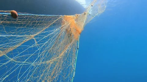 Dead fish hang in abandoned net underwater beside boat, showing grim ghost Stock Footage 340637349