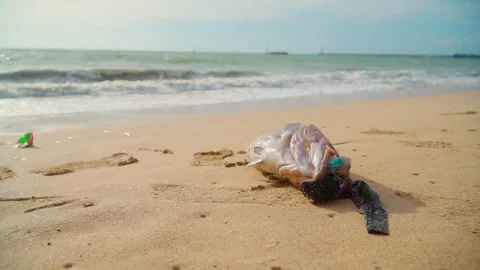 Dead fish stranded on the sand on the beach with his mouth full of trash. Stock Footage 264994492