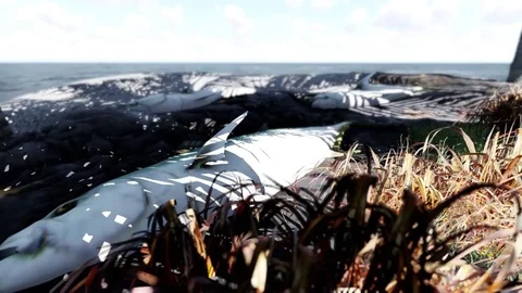 Dead fishes Video stock 83663440