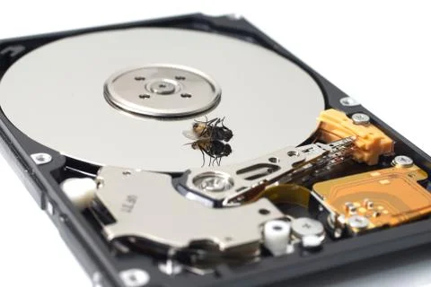 Dead fly on a disk drive Stock Photos