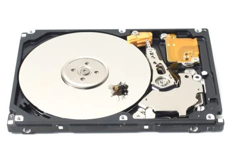 Dead fly on an open hard drive Stock Photos