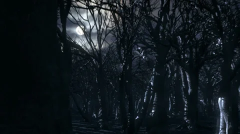 Dead forest and moon at night HD Stock Footage