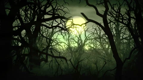 Dead forest animation with moonlight. Night scene Stock-Footage 86983667