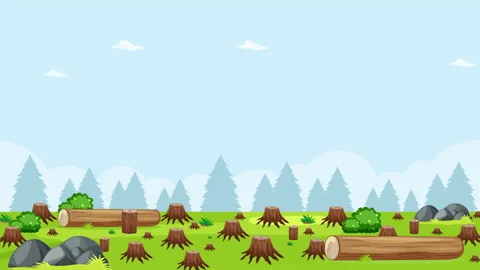 Dead Forest Stock Footage 232331106