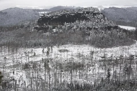 Dead forest in front of the Lorenzsstein Stock Photos