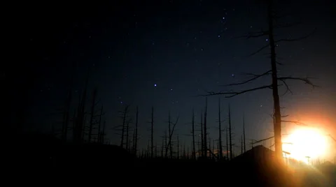 Dead forest sunrise Time lapse Stock Footage 35884873