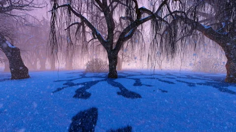 Dead forest tree and fog with small house Stock Footage 134479181