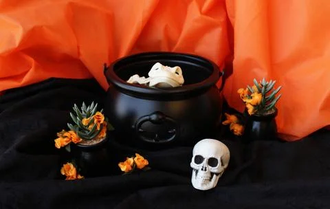 Dead frog skeleton trying to scape from witch cauldron. Stock Photos