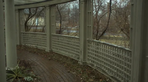 Dead Garden 動画素材 37112811