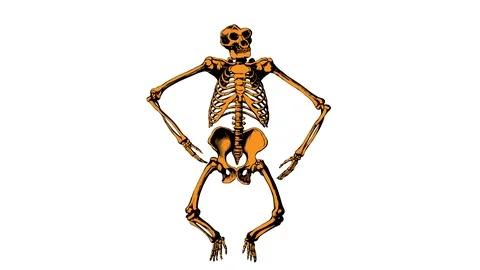 Dead gorilla bouncing dance - seamless  animated loop Stock Footage 103235079