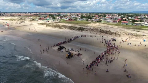 Dead humpback whale stranded on beach aerial orbit view with crowd and machinery Stock Footage 327852789