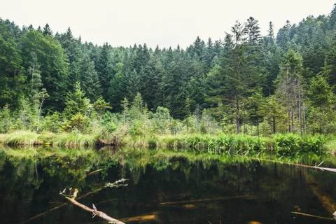 Dead lake Stock Photos