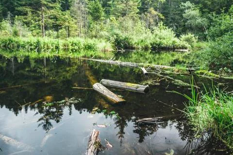 Dead lake Stock Photos