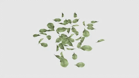 Dead Leaf with alpha channel and transparent background Stock Footage 328624078