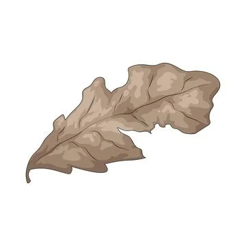 Dead leaf illustration Stock Illustration
