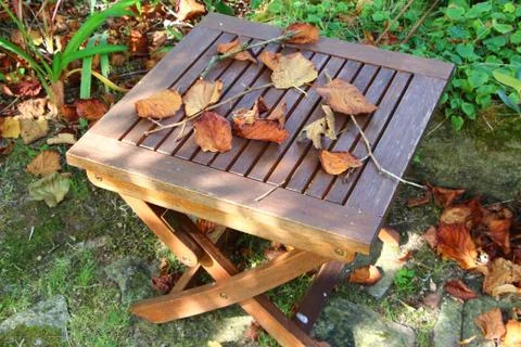 Dead leaves on a garden table Stock Photos