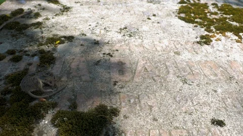 Dead mouse on a gravestone Stock-Footage 113200171
