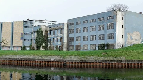 Dead mussels and fish float surface with contaminated water Video stock 89162541