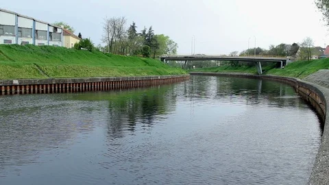 Dead mussels and fish float surface with contaminated water Video stock 89884134