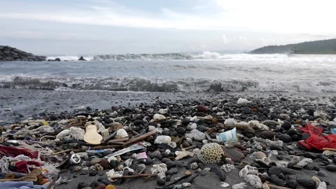 Dead Nature Corals and Plastic Bottles on the Dirty Trash Beach 4K Stock Footage 102732415