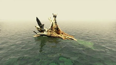 Dead oak tree in the Atlantic Ocean water Stock Illustration