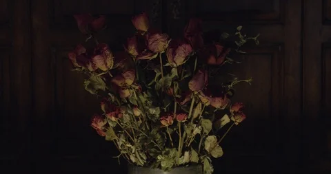 Dead old roses in a vase Stock Footage 101110530