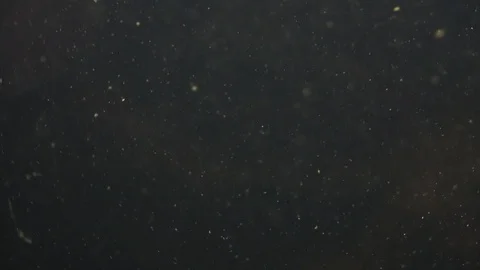 Dead Particles, water particles or other organic matter shimmer and flow with Stock Footage 86543820