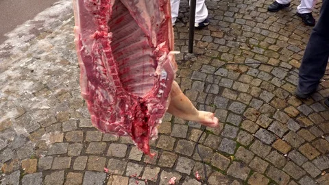 Dead pig body before cutting up Video stock 86189848