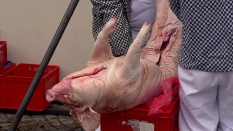 Dead pig body before cutting up Vídeo Stock 86195236