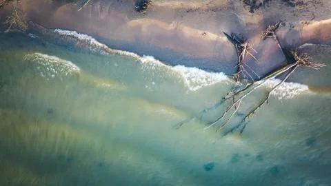 Dead pine tree on the beach cape Kolka, Baltic sea, Latvia Stock Photos