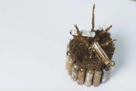 A dead plant with an earthen clod. Corroded batteries around. Waste recycling Foto stock