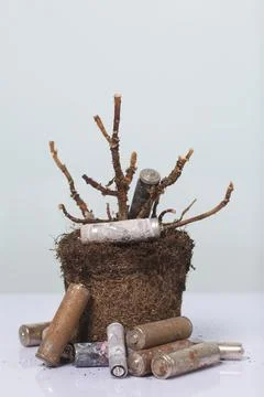 A dead plant with an earthen clod. Corroded batteries around. Waste recycling 스톡 사진