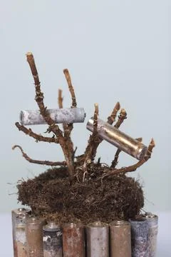 A dead plant with an earthen clod. Corroded batteries around. Waste recycling Foto stock