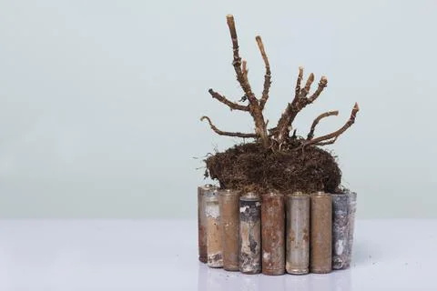 A dead plant with an earthen clod. Corroded batteries around. Waste recycling Foto stock