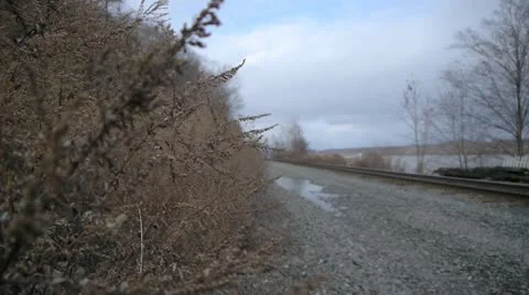 Dead Plants Train Tracks 001 Stockbeeldmateriaal 12134955