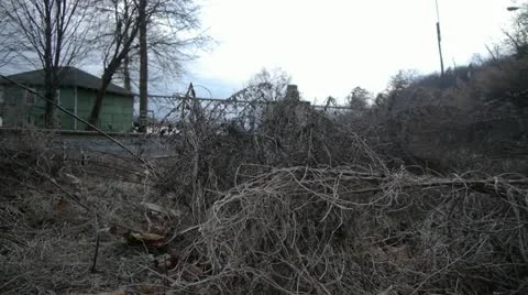 Dead Plants Train Tracks 002 Stockbeeldmateriaal 12135822