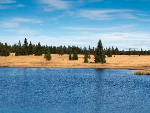 Dead pond 写真素材