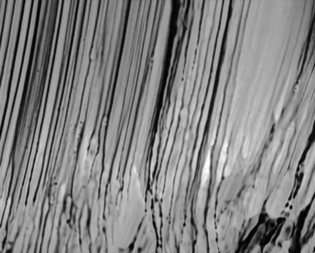 Dead Rainbow 库存影片 103367