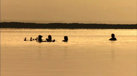 Dead Sea bathers Stock Footage 480390
