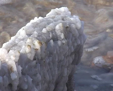 Dead sea  Video stock 265466