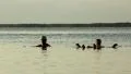 Dead Sea HD Footage
