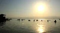 Dead Sea HD Footage